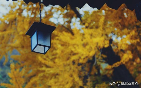 秋天最美的7大城市