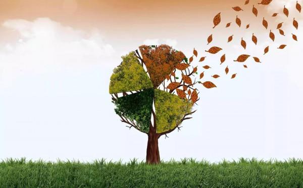 13個小故事，用來給孩子講人生