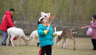多圖預警｜鹿島公園&amp;趣玩萌寵節今日盛大開放