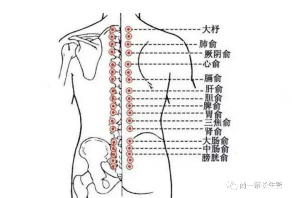 手把手教學:岳家筋髓易筋經 手把手教學:岳家筋髓易筋經