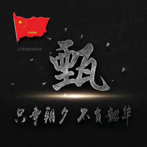 200張正能量姓氏頭像，張張精品，只爭朝夕 不負韶華