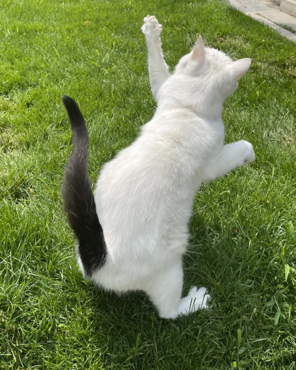 脖子扭扭屁股扭扭，久坐傷身讓我們來做運動