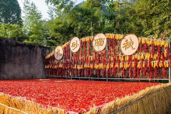 重陽節這個景區誠意滿滿,免門票半個月! 重陽節這個景區誠意滿滿,免門票半個月!