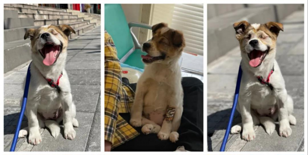 救助故事丨希望，它來了