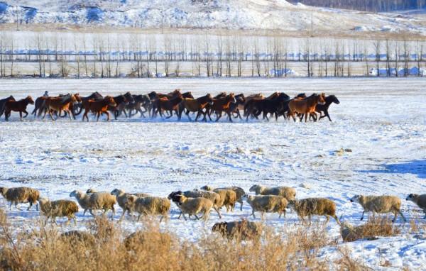 冬天適合去的10個地方，準備好去哪裡過冬了嗎？