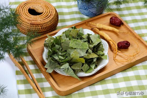 哪些泡茶對腎、肝有好處？養肝、補腎到底是養什麼補什麼？