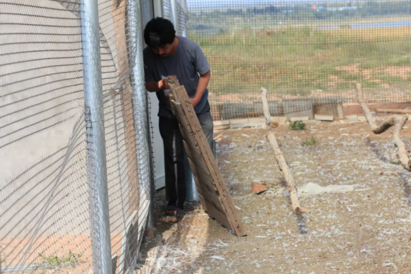 13萬打造6畝新雞場,養雞1千隻,收入未知,養雞人李丹寧決定南下 13萬打造6畝新雞場,養雞1千隻,收入未知,養雞人李丹寧決定南下