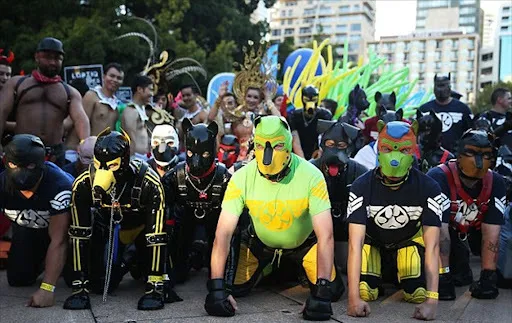 你知道動物扮演嗎？不是幼兒園小朋友玩的那種