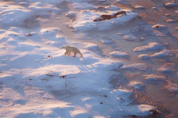 活動回顧｜感受冬日萌動自然，雲遊生態“加”境
