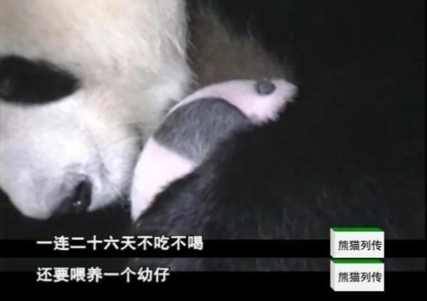 豆瓣9.5高分，北大教授與“國寶”列傳