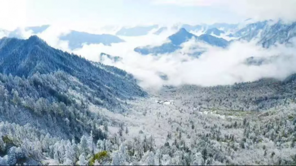 元旦最強攻略出爐！小眾美景、愜意度假、全家出遊都有，拿走去耍