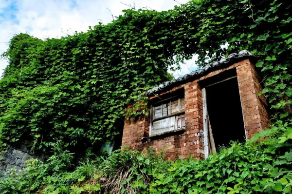 適合冬天的12條小眾自駕路線，人少景美，年末，選一條就出發吧