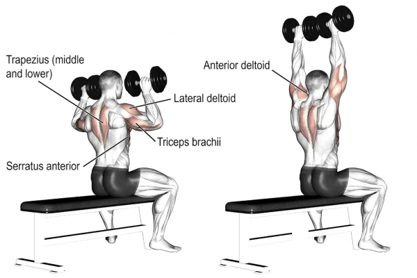 「耀&bull;健身」練遍全身，你只差一對啞鈴