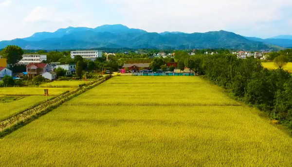 潛山秋季自駕遊精品線路 潛山秋季自駕遊精品線路