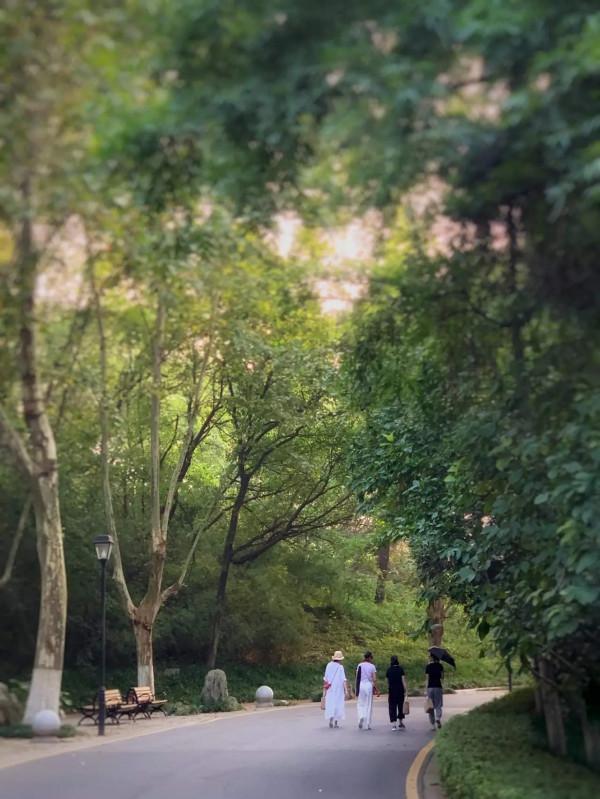 七絕·湯山金烏溫泉公園題名考（外5首）