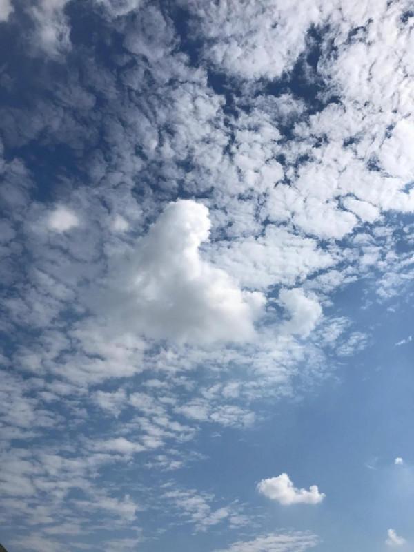 秋日江邊美如畫 秋日江邊美如畫