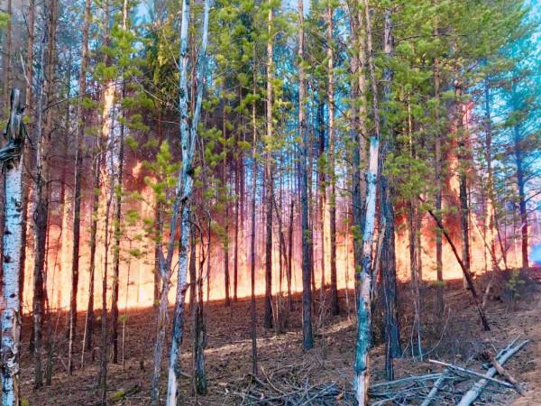 世界第二大黃種人地區,面積比蒙古大,當地黃金鑽石資源豐富 世界第二大黃種人地區,面積比蒙古大,當地黃金鑽石資源豐富