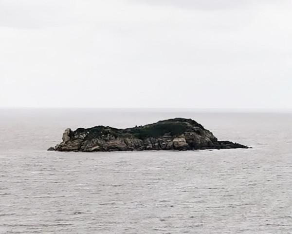 蘇州解放時，一國軍將領被俘後越獄逃跑，公安局長：這是件好事