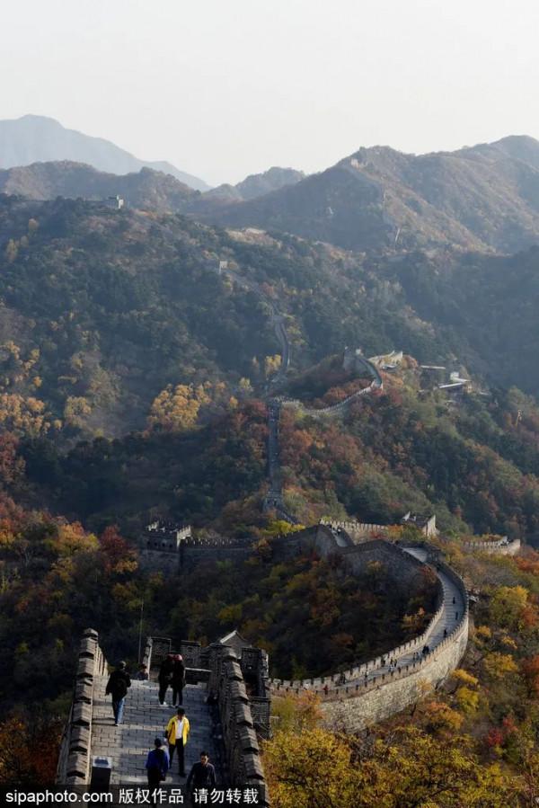 足足20家！北京最美秋色都在這裡了！不用人擠人！