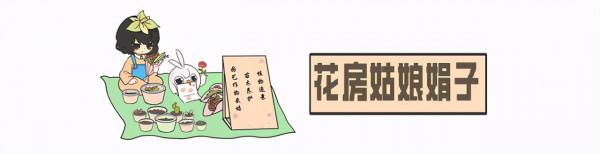 這幾種顆粒物是養花的好材料，拌一點到盆土裡，透氣又透水