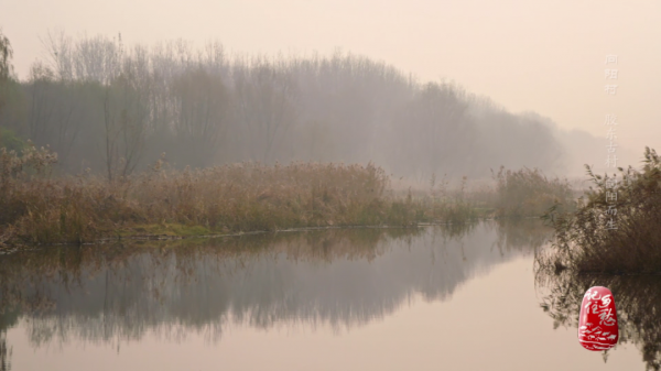 一畝地十萬塊,看小小西紅柿如何“紅火”了膠東半島上這個村 一畝地十萬塊,看小小西紅柿如何“紅火”了膠東半島上這個村