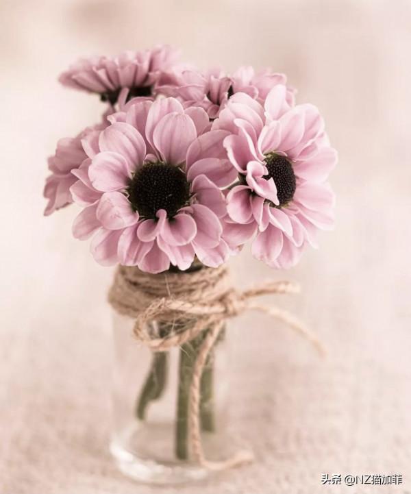 「推薦」改變自己，從控制體重開始