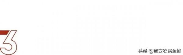 戀愛綜藝《單身即地獄》：撩漢天花板，宋智雅撩漢技巧大盤點