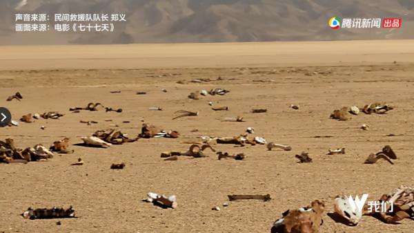 這不叫旅行，這叫玩命！一場說走就走的旅行，說失蹤就失蹤了