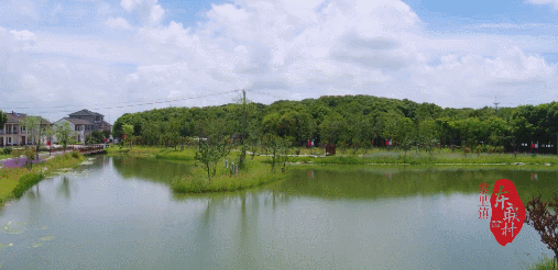 【探索】養在青吳嘉~靜享夏日，江南鄉村美如畫