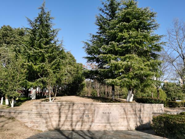 成則為陵,敗則野墳——陳友諒墓、張士誠墓、明孝陵散記 成則為陵,敗則野墳——陳友諒墓、張士誠墓、明孝陵散記