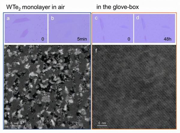 南科大團隊在水氧敏感二維材料的大範圍無損晶格表徵領域取得突破