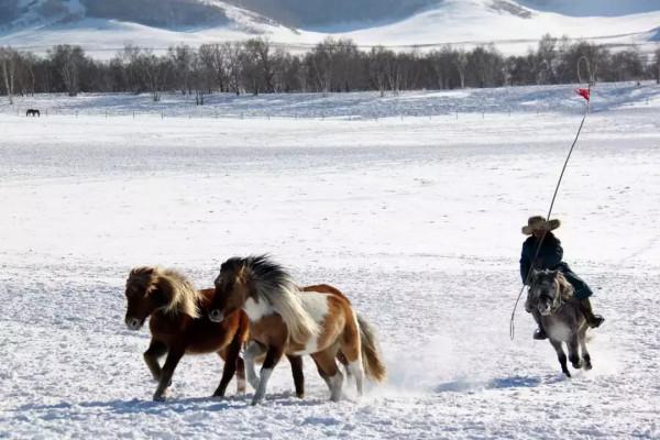 郭俊卿：14歲剃光頭參軍，5年不脫衣睡覺，身份曝光被毛主席接見