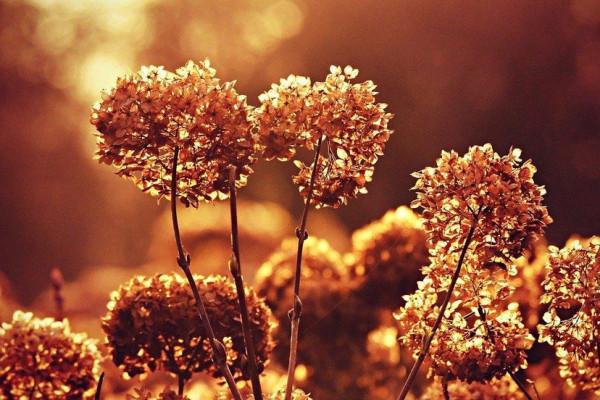 識人：真正的有錢人，往往都對自己比較&OpenCurlyDoubleQuote;狠&rdquo;