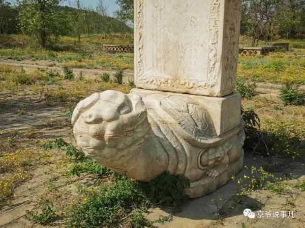 驚詫!京郊一古墓的“贔屓”居然回頭了 驚詫!京郊一古墓的“贔屓”居然回頭了
