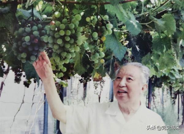 難忘由遠而近的華國鋒