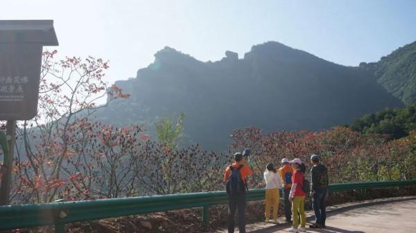 九月初九重陽節——登高覓秋色,賞景正當時 九月初九重陽節——登高覓秋色,賞景正當時