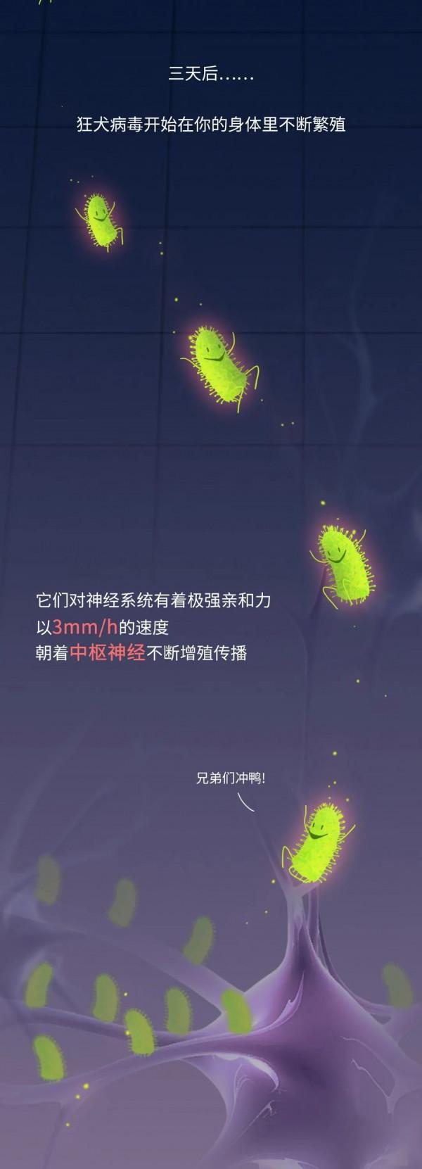 病死率近乎100%！病毒就是這樣一口一口吃掉你大腦的……