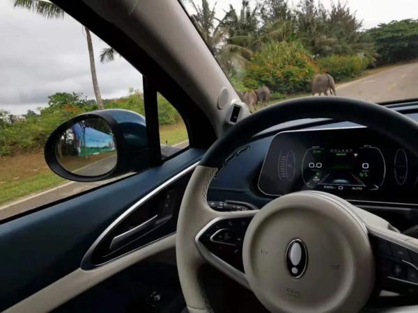 可愛,不代表好欺負!試駕尤拉好貓長續航波塞冬版 可愛,不代表好欺負!試駕尤拉好貓長續航波塞冬版