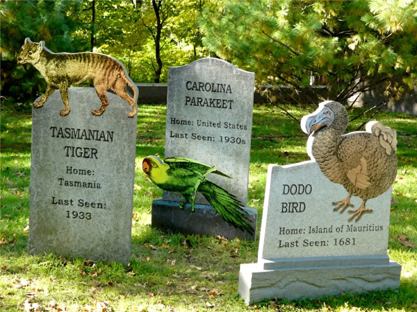 南極的企鵝都是假的!真的已經在北極滅絕了...... 南極的企鵝都是假的!真的已經在北極滅絕了......