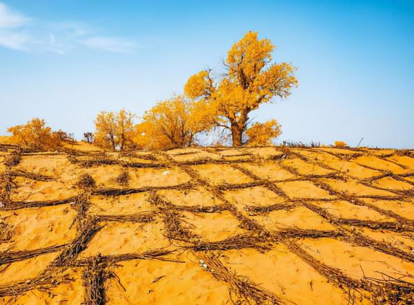 塔克拉瑪干沙漠到底有多深?如果把沙子都挖光,下面是什麼 塔克拉瑪干沙漠到底有多深?如果把沙子都挖光,下面是什麼
