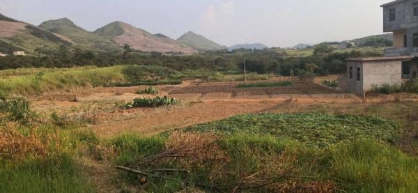 同是人口農業大國,為何中國滿世界買糧,印度卻成糧食出口大國? 同是人口農業大國,為何中國滿世界買糧,印度卻成糧食出口大國?