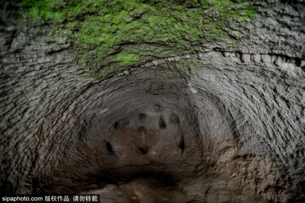 家鄉的秋天!京郊這些古村落淳樸靜謐,竟然美得不像話~ 家鄉的秋天!京郊這些古村落淳樸靜謐,竟然美得不像話~