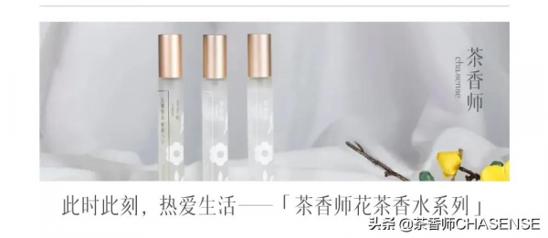 新品上新丨臘梅白茶香，凌寒綻放