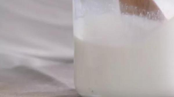 一處白樺林，留下獨具自然的美色，舌尖美食味道