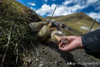 四川這20個最值得去的地方，你去過幾個