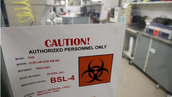 人類要完蛋了？美國驚人發現曝光，活體機器人能自己“生孩子”