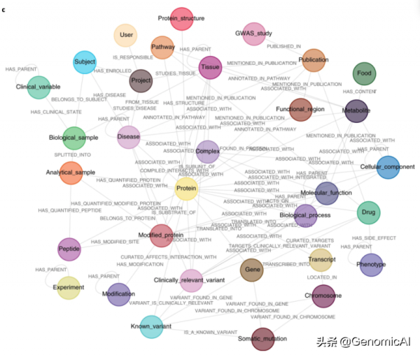 最近3篇蛋白質及其組學知識圖譜Nature子刊文章解決生物核心問題