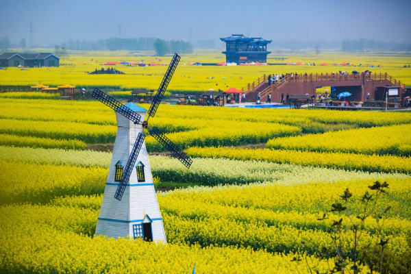 ​陽春3月，草長鶯飛！3月最值得去的12個旅行地，不需攻略，不費錢