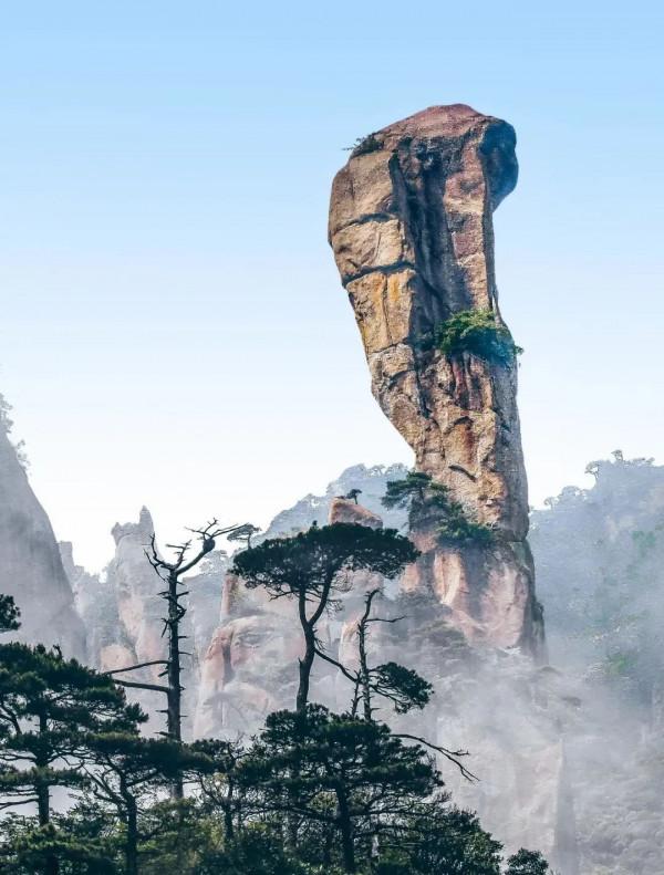 成年人玩得這麼野，小心把命都玩丟了