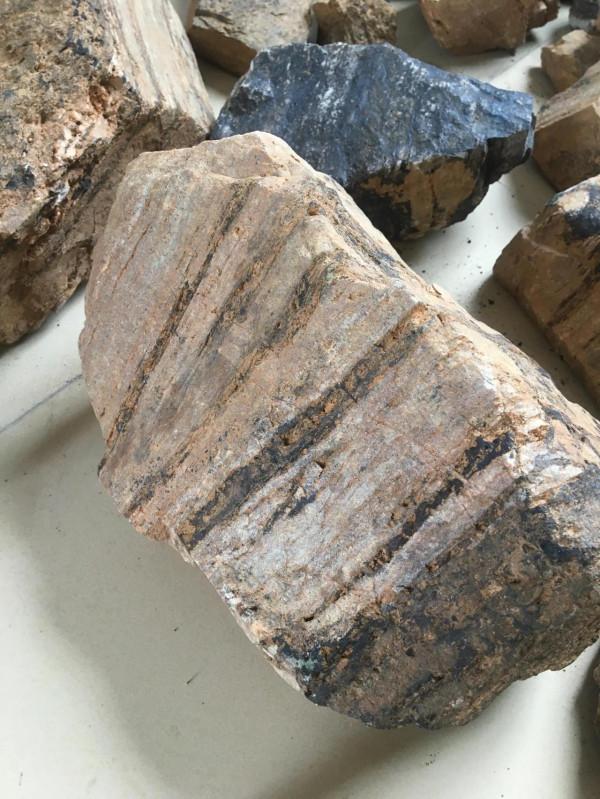 月亮積層巖隕石已被發現